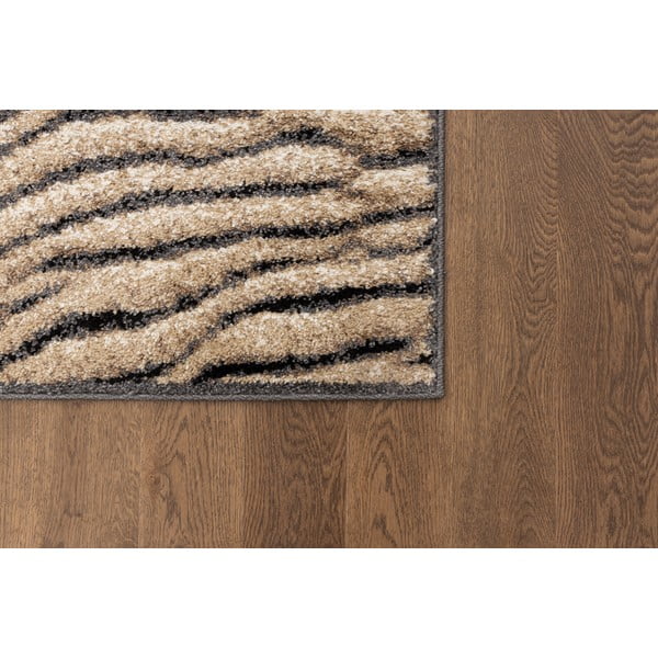 Rjava preproga 160x220 cm Avanti – FD-image-3