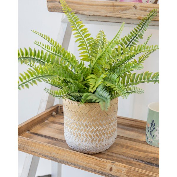 Cvetlični lonec iz morske trave Kitchen Craft Ombré-image-1