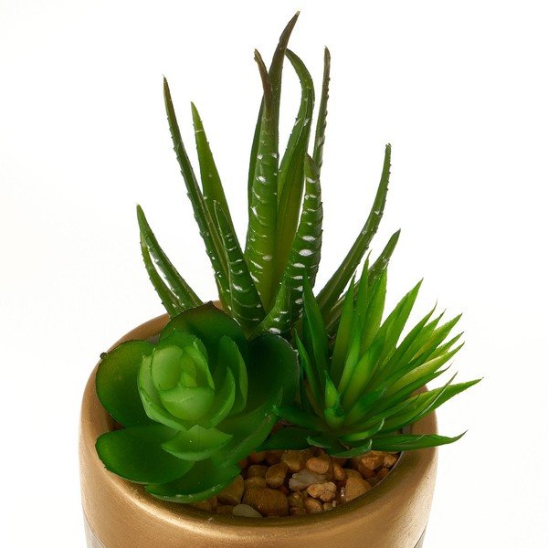 Umetne rastline v kompletu 4 ks (višina 17 cm) Cactus – Casa Selección-image-2