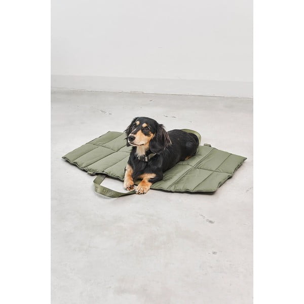 Zeleno potovalno ležišče za pse 53x80 cm Strada Grolive S – MiaCara-image-2