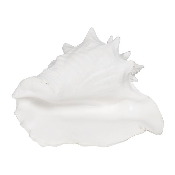 Kipec iz poliresina (višina 13 cm) Seashell – Ixia-image-4