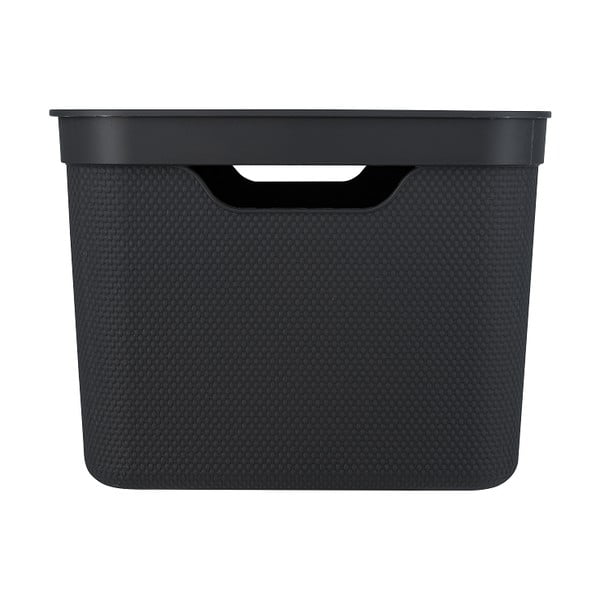 Plastična škatla za shranjevanje s pokrovom Deco - Rotho-image-2