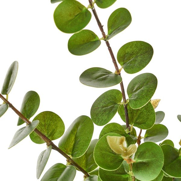 Umetna rastlina – Casa Selección-image-2