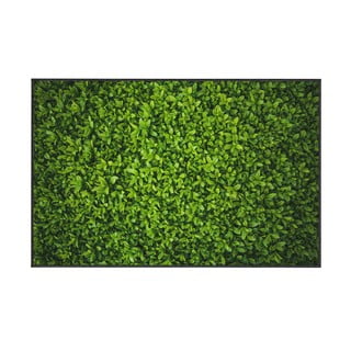 Zelena preproga Oyo home Ivy, 140 x 220 cm
