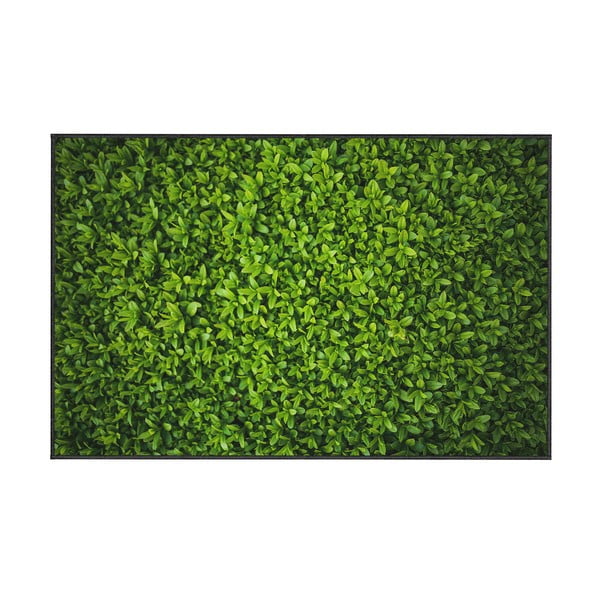 Zelena preproga Oyo home Ivy, 80 x 140 cm