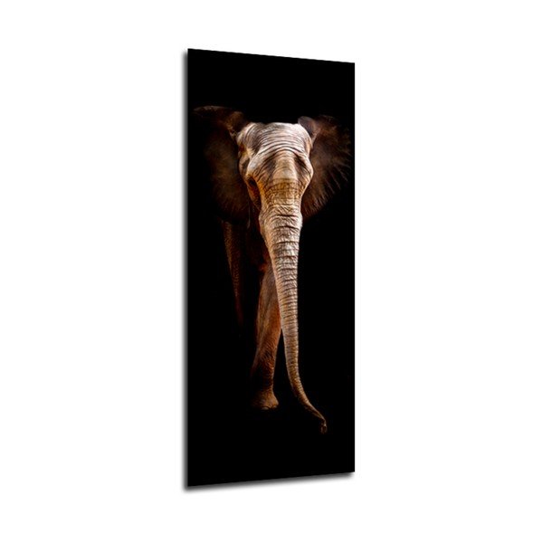 Slika Styler Elephant, 125 x 50 cm-image-1