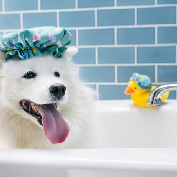 Pasja igrača Bathing Cap – P.L.A.Y.-image-2