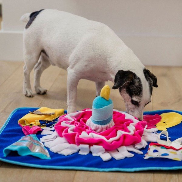 Preproga za priboljške Pawty – P.L.A.Y.-image-1