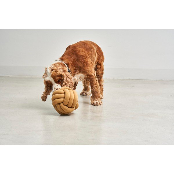 Igrača za pse Tubo Curry – MiaCara-image-1