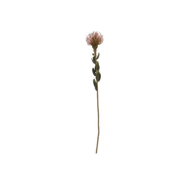 Umetna rastlina (višina 60 cm) Protea – PT LIVING