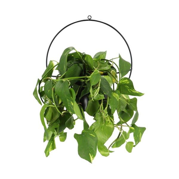 Črna stenska posoda za cvetlični lonček Esschert Design Planter-image-1