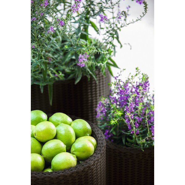 Plastični cvetlični lonci v kompletu 3 ks ø 43 cm Cylinder – Keter-image-1
