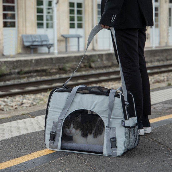 Torba za prenašanje hišnih ljubljenčkov 25,5x48 cm – Love Story-image-1