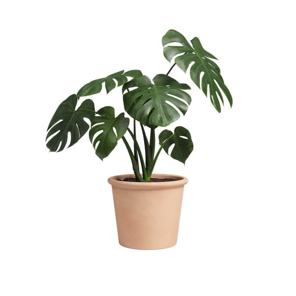 Cvetlični lonec iz terakote ø 18 cm Saramago Cilindro – Artevasi-image-1