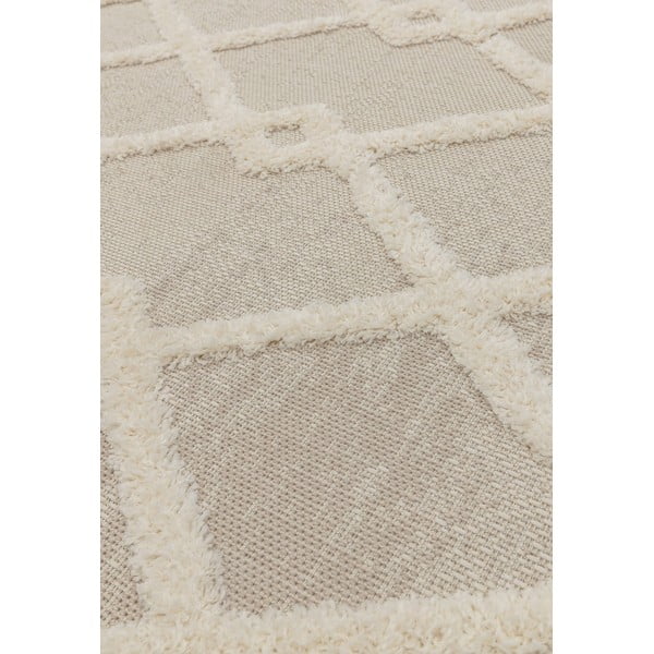 Kremno bela zunanja preproga 120x170 cm Monty – Asiatic Carpets-image-2