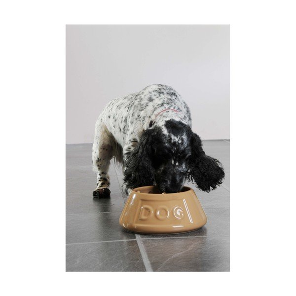 Lončena posoda za vodo za pse Mason Cash Pet Cane, ø 21 cm-image-4