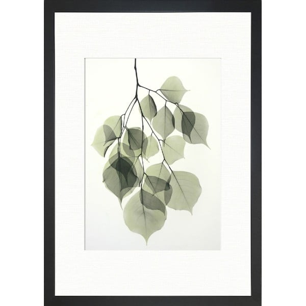 Plakat Tablo Center Tender Leaves, 24 x 29 cm