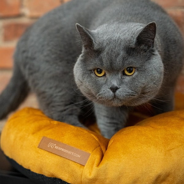 Rumeno ležišče za pse ø 50 cm Coco S – Rexproduct-image-3