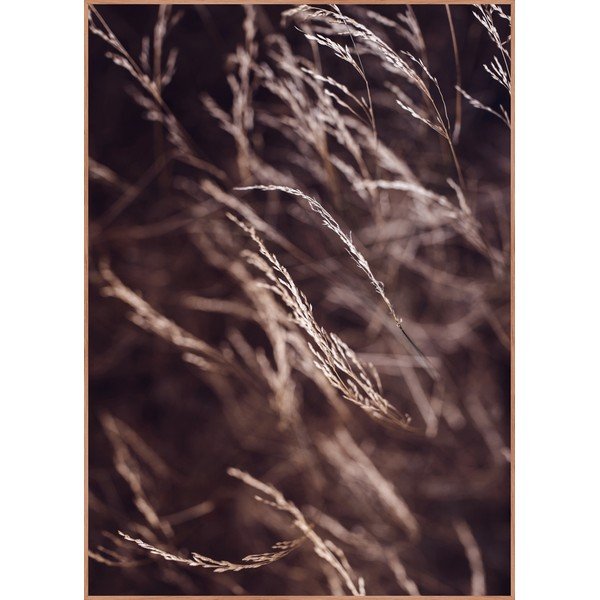 Plakat z okvirjem 50x70 cm Mellow Grasses 7 – Malerifabrikken