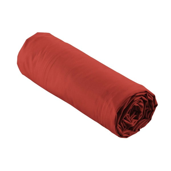 Opečnato oranžna napenjalna rjuha iz bombažnega perkala 180x200 cm Percaline – douceur d'intérieur-image-4