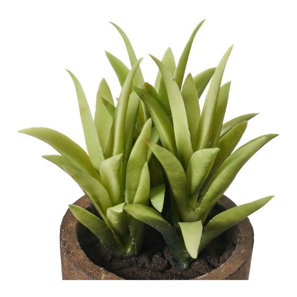 Umetne rastline v kompletu 4 ks (višina 10 cm) Cactus – Casa Selección-image-3