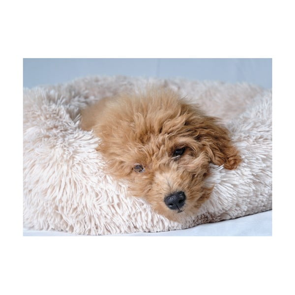 Kremno bela postelja za pse ø 55 cm – Love Story-image-3