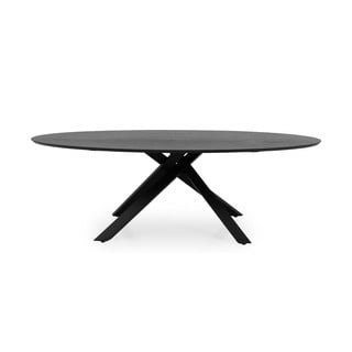 Jedilna miza iz jesenovega dekorja 240x120 cm Cox - Tenzo