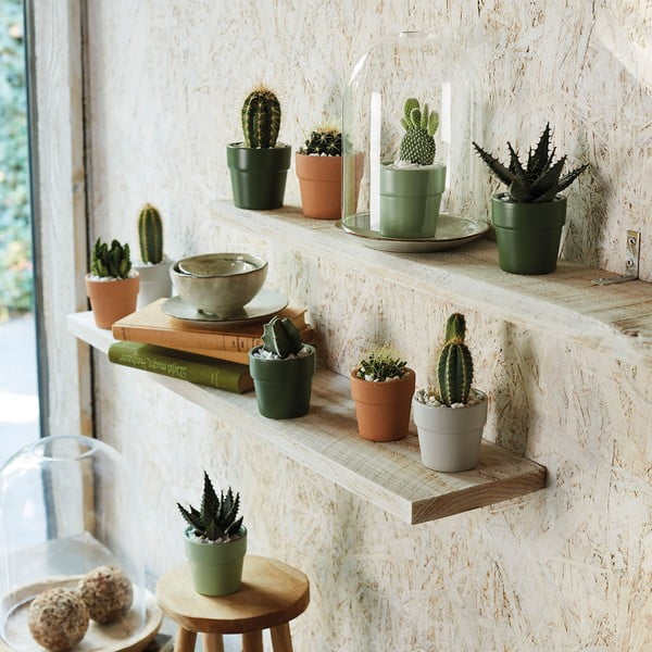 Svetlo zelen keramičen cvetlični lonček Big pots Lima, ø 10 cm-image-1