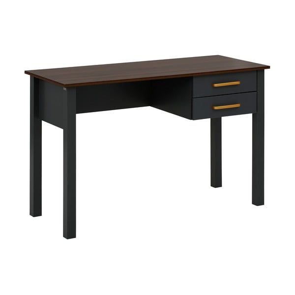 Pisalna miza 50x120 cm Marion - Støraa -image-1