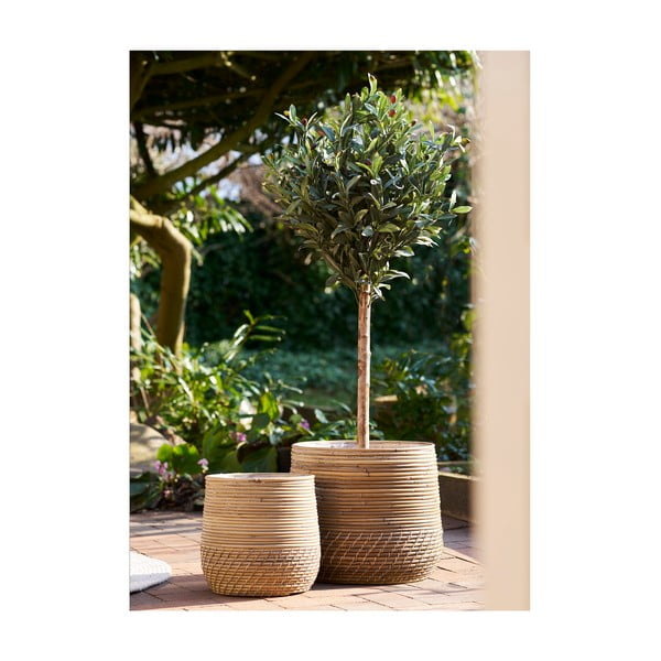 Košare iz ratana v kompletu 2 ks ø 39x35 cm Moro – House Nordic-image-1