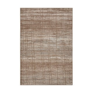 Rjava/bež preproga 80x120 cm Terrain – Hanse Home