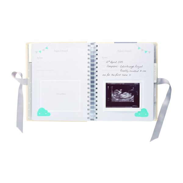 Nosečkin dnevnik Busy B Pregnancy Journal-image-4