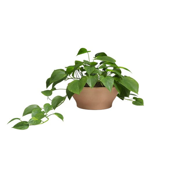 Cvetlični lonec iz terakote ø 31 cm Saramago – Artevasi-image-1