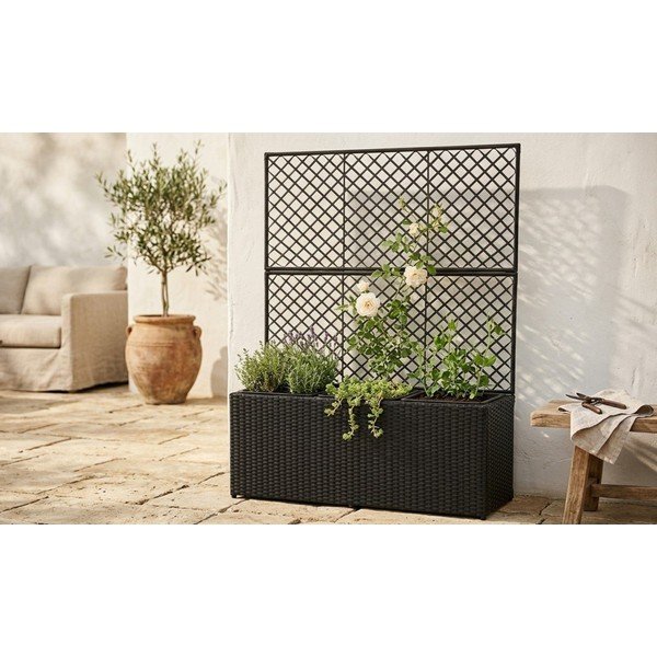 Črn vrtni cvetlični lonec Bonami Essentials Wall-image-1