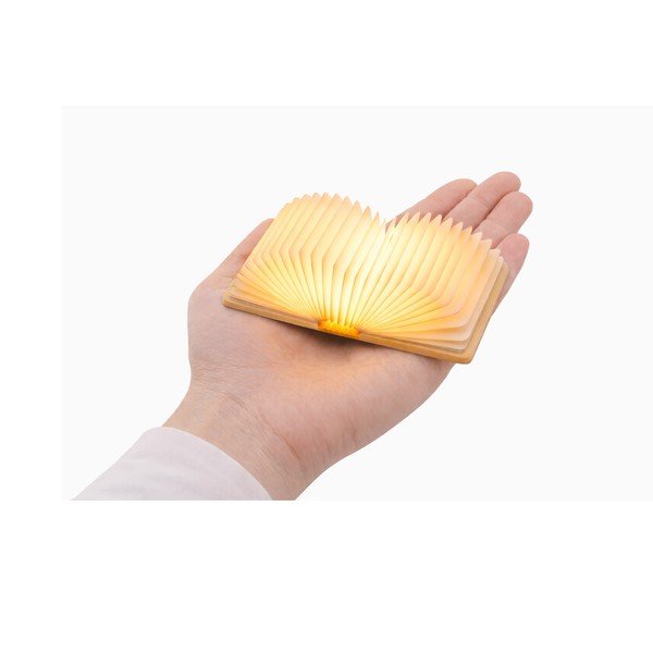 Prenosljiva svetlobna dekoracija na USB v naravni barvi BookLight – Gingko-image-3