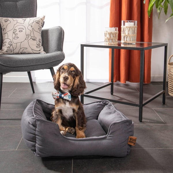 Modra postelja za pse 50x55 cm – Love Story-image-3