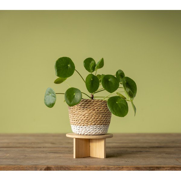 Stojalo za cvetlične lonce iz bambusa ø 18 cm – Esschert Design-image-3