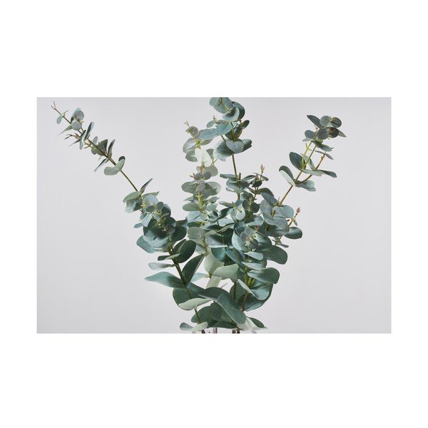 Umetni evkaliptus (višina 71 cm) Kvist – Villa Collection-image-1