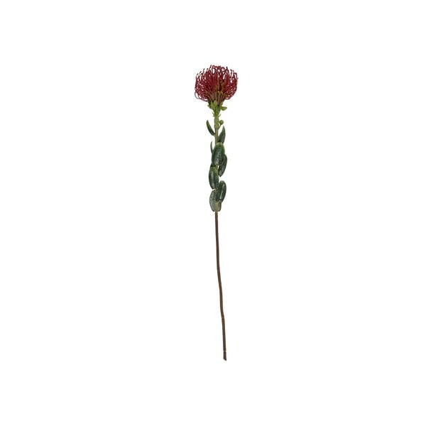 Umetna rastlina (višina 73 cm) Protea – PT LIVING