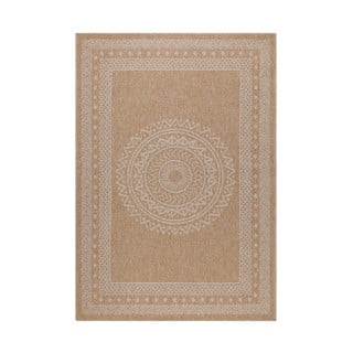 Zunanji tekač v naravni barvi 80x250 cm Dhaka – Ayyildiz Carpets