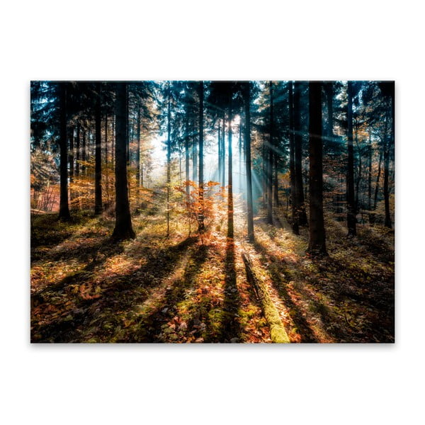 Slika Styler Glasspik Autumn Sunset, 70 x 100 cm