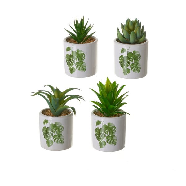 Umetne rastline v kompletu 4 ks Cactus – Casa Selección