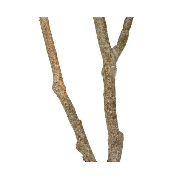 Umetna rastlina (višina 116 cm) Oak Tree – Ixia-image-4