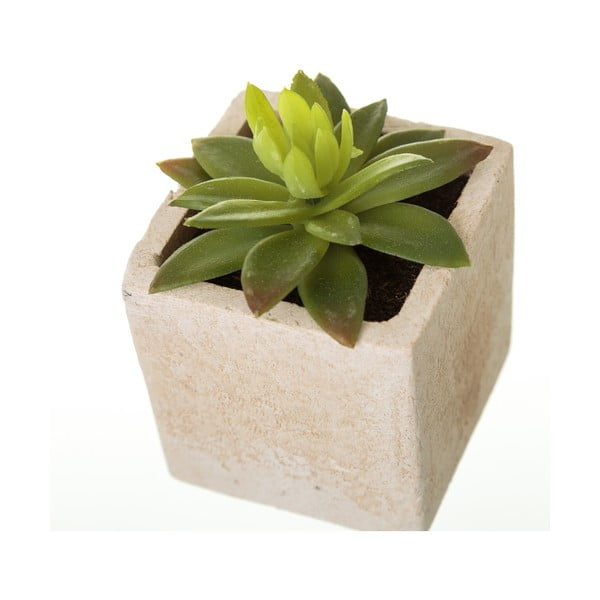 Umetne rastline v kompletu 6 ks (višina 9,5 cm) Cactus – Casa Selección-image-1