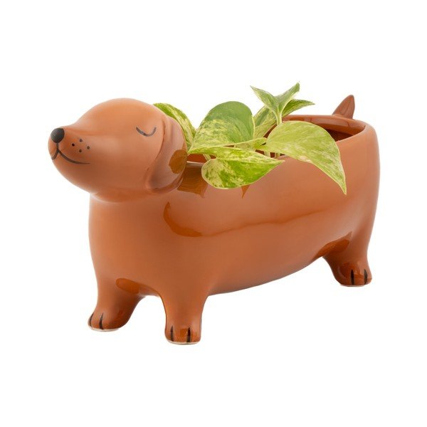 Keramičen okrasni cvetlični lonec Sausage Dog – Sass & Belle-image-4