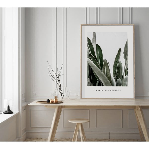 Slika 50x70 cm Strelitzia – Styler-image-1