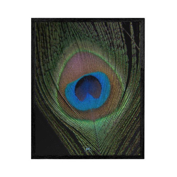 Črni okvir za fotografije PT LIVING Ritzy, 32 x 42 cm