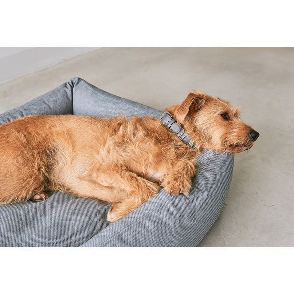 Siva podloga za pse 71x91 cm Mare Rock M – MiaCara-image-2