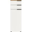 Bela visoka kopalniška omarica 39x111 cm Menen - Germania