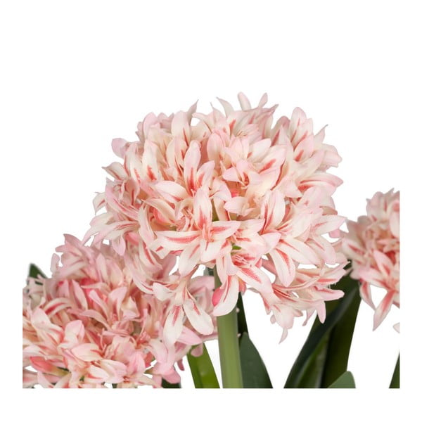 Umetna rastlina (višina 100 cm) Hyacinth – Ixia-image-1